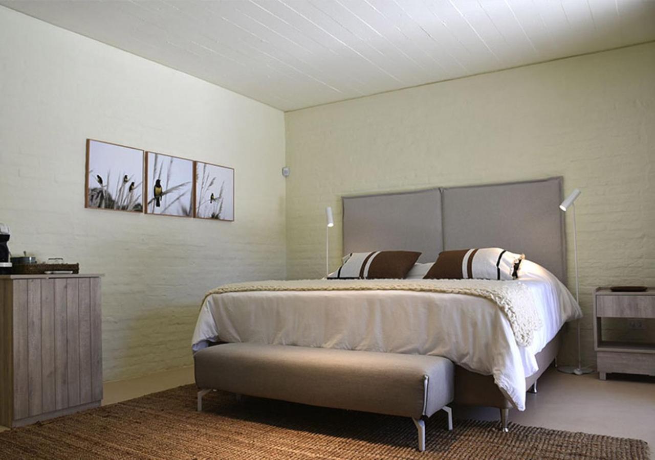 Posada Tamarindo José Ignacio Eksteriør billede