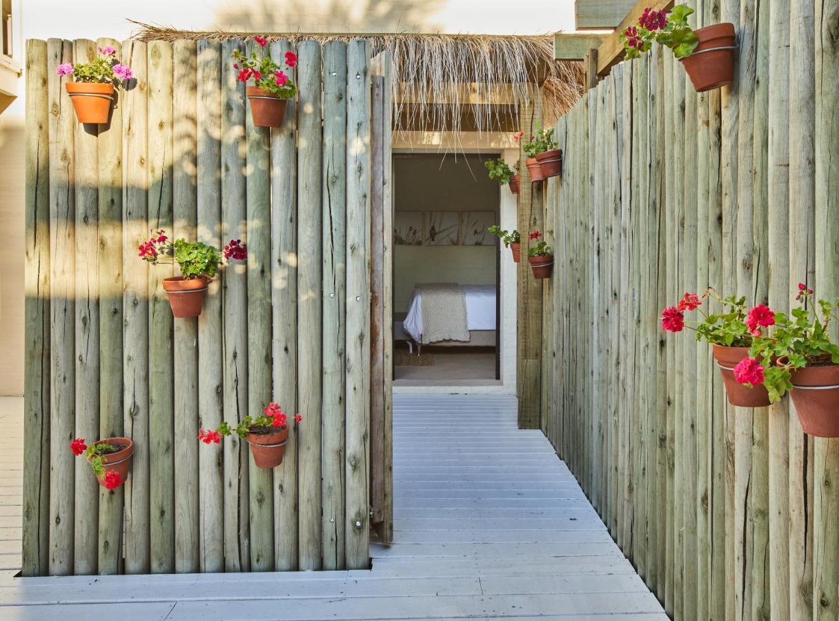 Posada Tamarindo José Ignacio Eksteriør billede